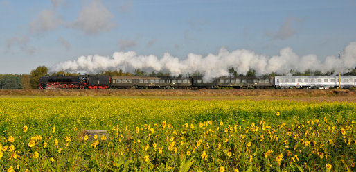 _GPF8644pan.jpg