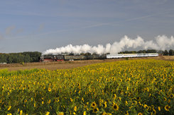 _GPF8641.JPG