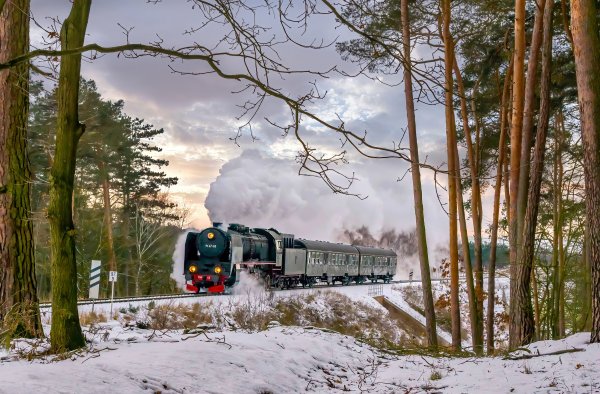 The Wolsztyn Experience